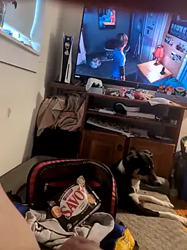 Snapshot of biggnipz chatting on November 7, 2025, 5:34 am biggnipz online show from November 7, 2025, 5:34 am