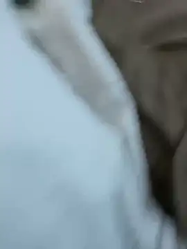 daddydiggg online show from March 20, 2025, 1:13 am