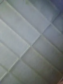 Snapshot of zaneporter46 chatting on February 5, 2026, 6:15 pm zaneporter46 online show from February 5, 2026, 6:15 pm