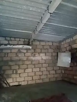 mojmasti143 online show from November 13, 2025, 8:29 am