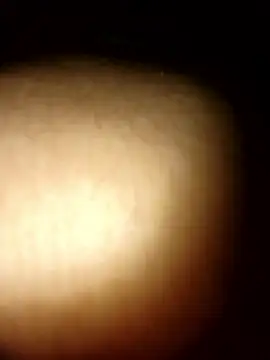 tesaodaweb online show from January 9, 2026, 12:34 pm