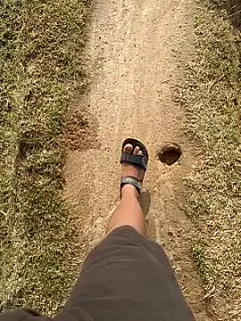 virgin Odiaboy online show from February 21, 2025, 2:39 am