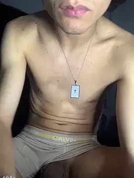 Snapshot of gabrielzinnnn085 chatting on December 19, 2025, 2:37 am gabrielzinnnn085 online show from December 19, 2025, 2:37 am