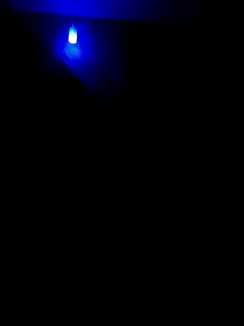 dreamers dick online show from January 2, 2025, 7:18 pm