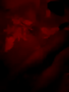 Leefin09 online show from January 31, 2026, 9:24 pm