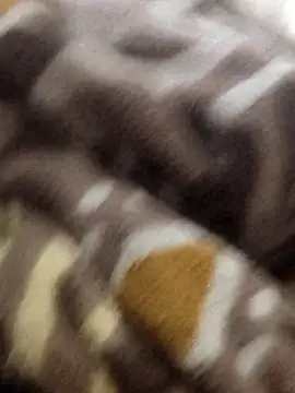 MAGNETICDADDY8 online show from January 15, 2026, 7:12 am