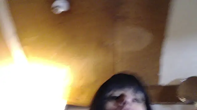 Snapshot of SadCatDaddy chatting on March 20, 2025, 3:14 pm SadCatDaddy online show from March 20, 2025, 3:14 pm