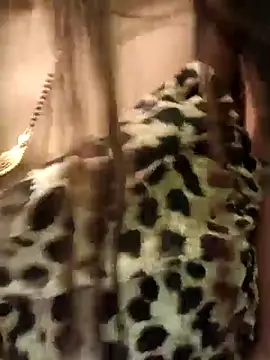 Stripper Maahi online show from February 21, 2025, 9:13 am