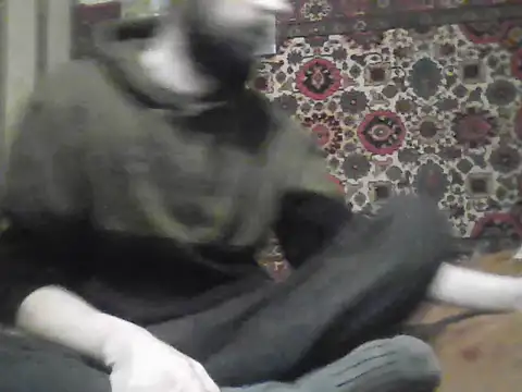 AlferezzSolvajo online show from January 8, 2026, 3:18 pm