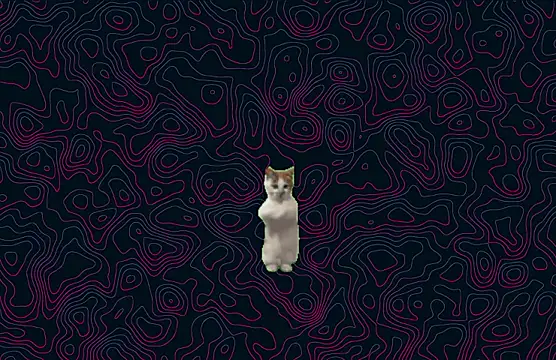 iamhotmew online show from February 10, 2026, 6:56 am