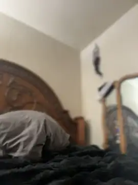 Kitty DaCocks online show from April 7, 2026, 10:44 pm