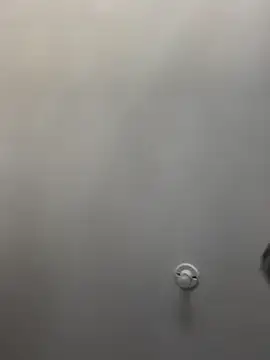 NubeZea online show from January 22, 2025, 5:28 pm