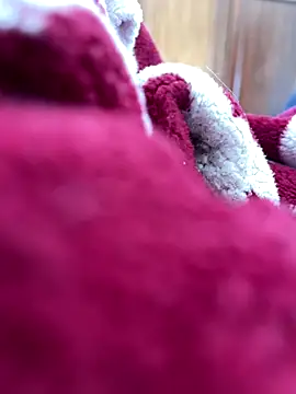 Snapshot of BCFZD chatting on November 25, 2025, 1:22 pm BCFZD online show from November 25, 2025, 1:22 pm