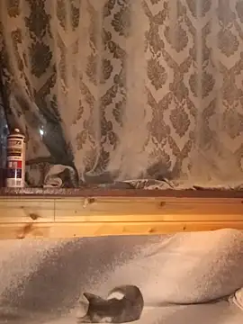 Snapshot of rosse26830 chatting on September 28, 2025, 4:25 pm rosse26830 online show from September 28, 2025, 4:25 pm