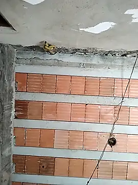 safado0027 online show from February 15, 2026, 2:27 pm