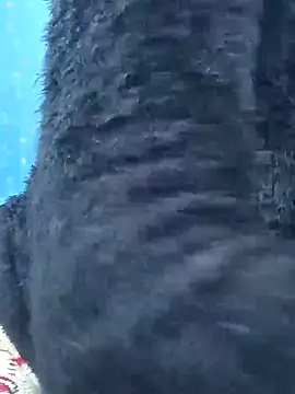 Snapshot of Snehalive chatting on November 26, 2025, 5:07 am Snehalive online show from November 26, 2025, 5:07 am