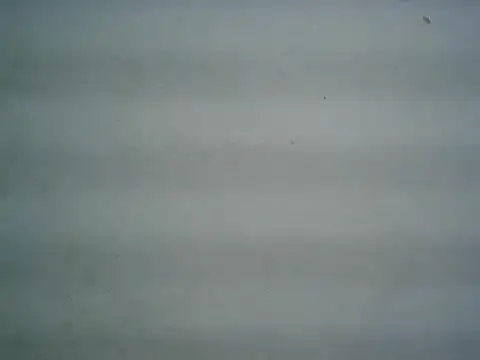michel1520 online show from June 9, 2026, 4:35 am