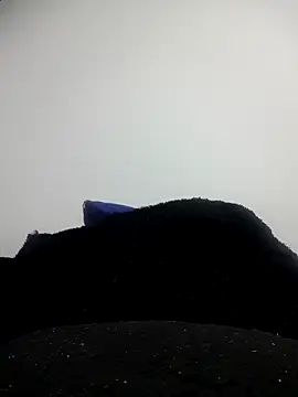 Snapshot of CHARLOTTE_1711 chatting on October 11, 2025, 3:40 am CHARLOTTE 1711 online show from October 11, 2025, 3:40 am