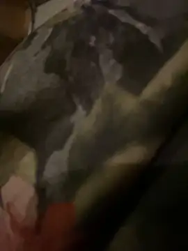 Snapshot of QTeepye chatting on February 19, 2026, 4:42 am QTeepye online show from February 19, 2026, 4:42 am