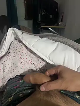 zoltard 1911 online show from February 11, 2025, 4:35 pm