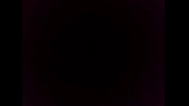 Evandro104020 online show from October 4, 2025, 4:03 am