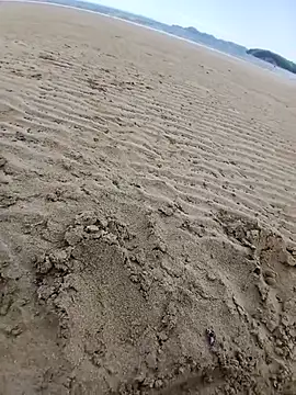 jacaranduba07 online show from February 7, 2026, 4:37 pm