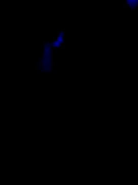 jacaranduba07 online show from February 6, 2026, 2:40 am