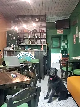 ilonna2025 online show from March 15, 2026, 11:34 pm