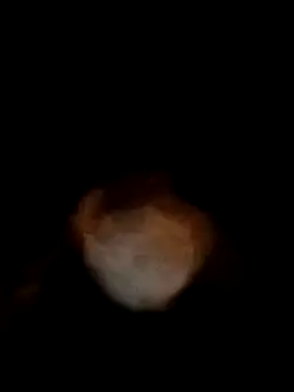 Snapshot of bobbuilder77pl chatting on January 17, 2025, 11:07 pm bobbuilder77pl online show from January 17, 2025, 11:07 pm