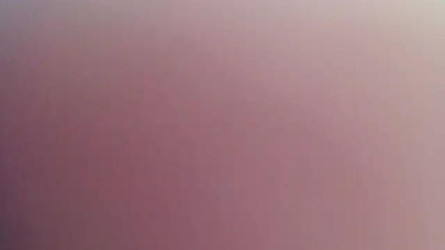 Kitten Cam online show from April 29, 2026, 10:38 pm