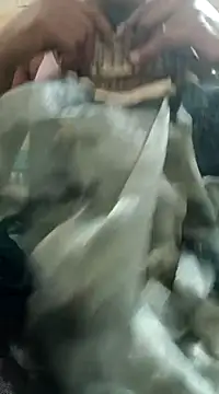 Snapshot of chocobbsimarn chatting on March 19, 2025, 10:53 pm chocobbsimarn online show from March 19, 2025, 10:53 pm