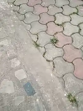 Snapshot of Raj41 chatting on March 2, 2025, 1:37 am Raj41 online show from March 2, 2025, 1:37 am