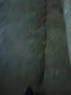 Raj41 online show from December 3, 2025, 3:11 pm