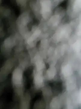 Snapshot of j0nathan00 chatting on February 10, 2025, 4:58 pm j0nathan00 online show from February 10, 2025, 4:58 pm