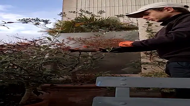 Snapshot of Vyda4 chatting on November 17, 2025, 8:29 am Vyda4 online show from November 17, 2025, 8:29 am