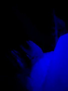 Snapshot of Jagebabe13 chatting on December 2, 2025, 3:30 am Jagebabe13 online show from December 2, 2025, 3:30 am