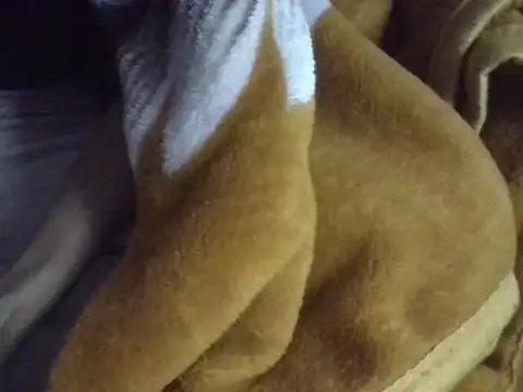 AKANSHA 7 online show from December 1, 2025, 3:02 pm