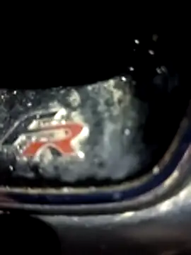 petxxl online show from December 1, 2025, 3:51 am