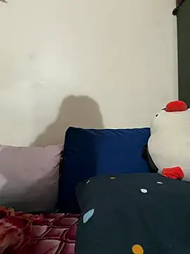 Snapshot of smiley_telugu chatting on February 15, 2026, 10:25 am smiley telugu online show from February 15, 2026, 10:25 am