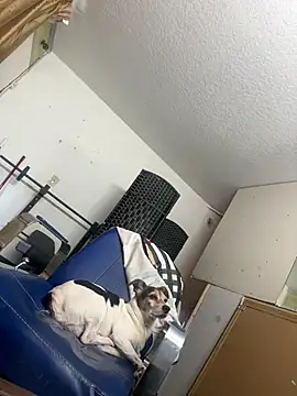 Snapshot of sexyhotstud12 chatting on January 24, 2025, 6:25 pm sexyhotstud12 online show from January 24, 2025, 6:25 pm