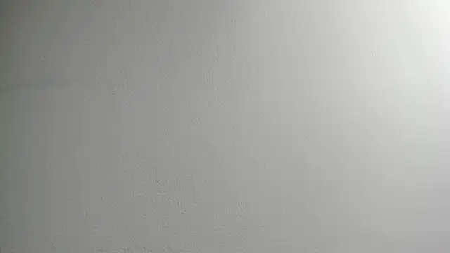 Snapshot of Tombarden chatting on February 11, 2025, 3:51 pm Tombarden online show from February 11, 2025, 3:51 pm