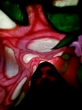 Nightservice27 online show from February 22, 2025, 3:45 am