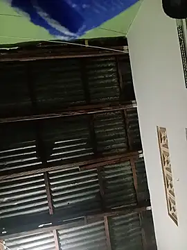 Snapshot of -Nicol chatting on January 16, 2026, 10:08 am -Nicol online show from January 16, 2026, 10:08 am