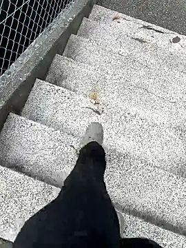 Snapshot of kekesuisse24 chatting on October 3, 2025, 1:23 pm kekesuisse24 online show from October 3, 2025, 1:23 pm