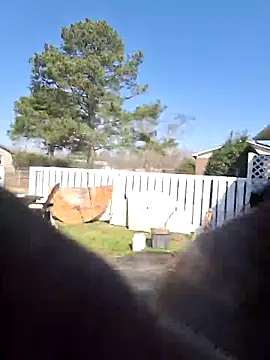 Snapshot of thickdaddy2982 chatting on March 8, 2025, 3:13 pm thickdaddy2982 online show from March 8, 2025, 3:13 pm