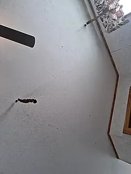 Snapshot of BBWLADY71 chatting on March 30, 2026, 5:36 pm BBWLADY71 online show from March 30, 2026, 5:36 pm