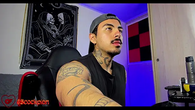 scockpion   online show from February 12, 2026, 5:51 am