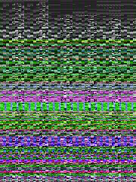 Snapshot of Yankees- chatting on February 1, 2025, 3:19 am Yankees- online show from February 1, 2025, 3:19 am