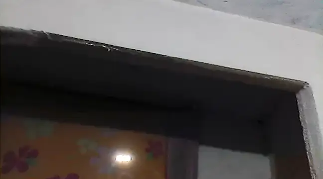 beatle666 online show from February 17, 2025, 2:09 am