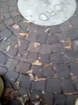 Snapshot of dominationmybigdick chatting on September 19, 2025, 5:06 pm dominationmybigdick online show from September 19, 2025, 5:06 pm